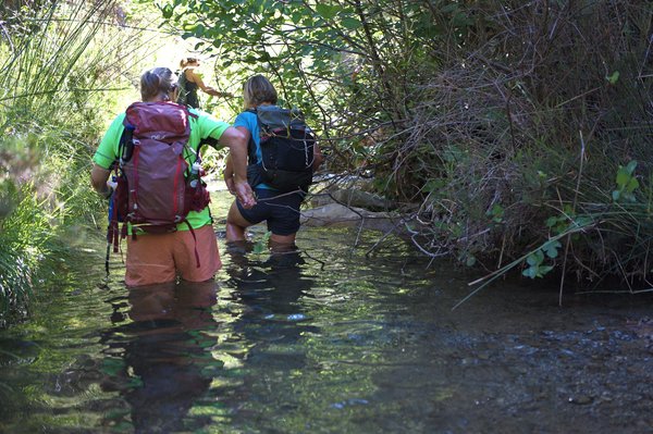 hikers wading through thigh deep waters