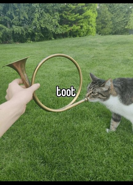 a cat tooting a horn
