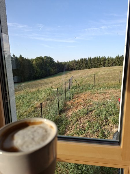 A morning view from a window over a bit dried out garden over a grassy meadow towards a beautiful forest. In the foreground a cup of coffee is slightly visible.