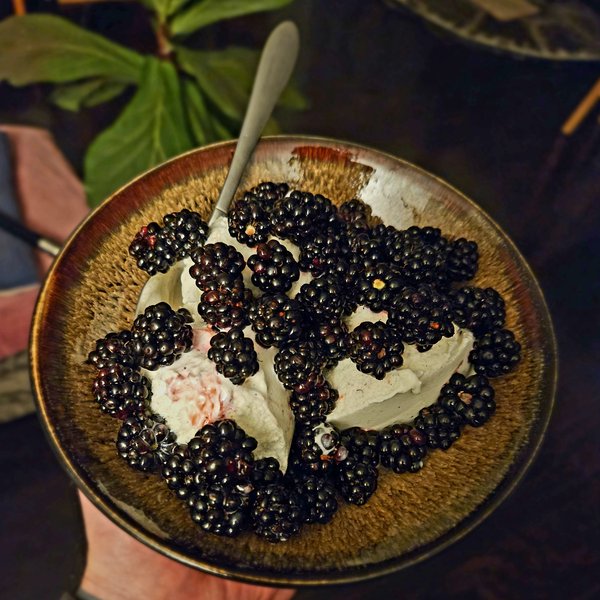 A ceramic bowl with a brown and beige speckled glaze holds scoops of vanilla ice cream generously topped with fresh blackberries. A metal spoon rests in the bowl. The background shows blurred green leaves and warm ambient lighting.