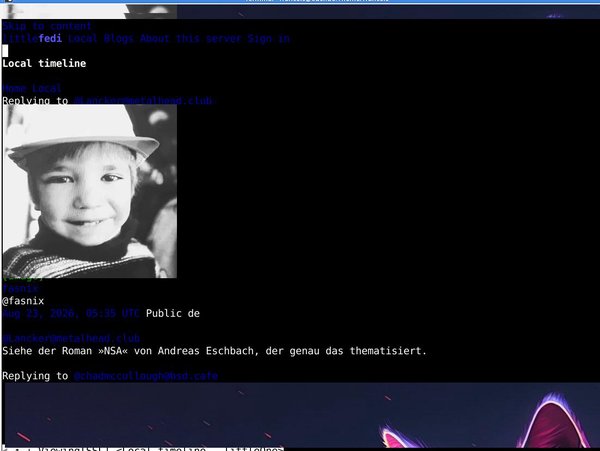 Testing W3m