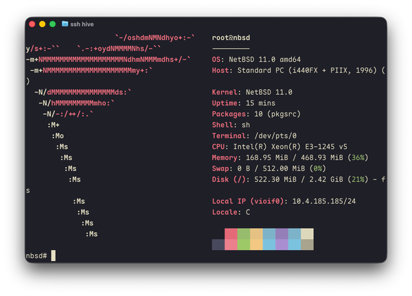 running netbsd