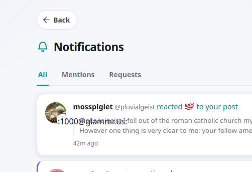 1000 icon missing