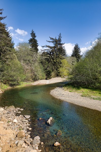 A clear, shallow river curves through a forested landscape under a bright blue sky. The water reveals smooth stones and pebbles beneath its surface. Gravel banks line the river’s edge, flanked by tall evergreens and leafy deciduous trees in fresh spring green.