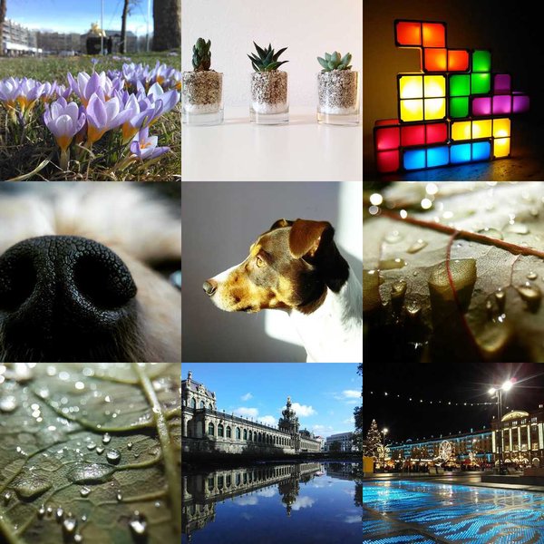 Collage as described in the post.