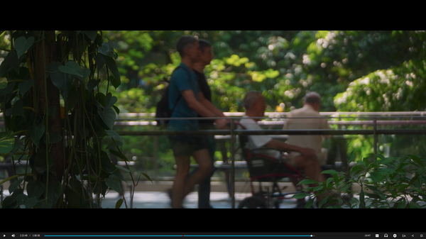 A man pushes another man in a wheelchair over a small bridge within wilderness in a hospital building.