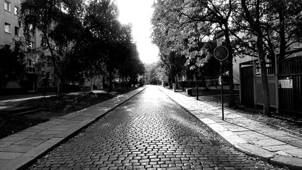 Kopfsteinpflasterstraße mit vom Bordstein zurückgesetzten Häusern rechts und links, davor große Bäume und Büsche.