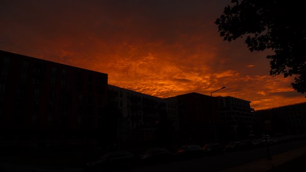 Tiefe Sonnenröte über Häusern in der Dresdner Innenstadt.