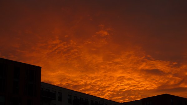 Gleiche Perspektive, aber herangezoomt.