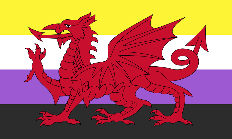 :enby_draig: