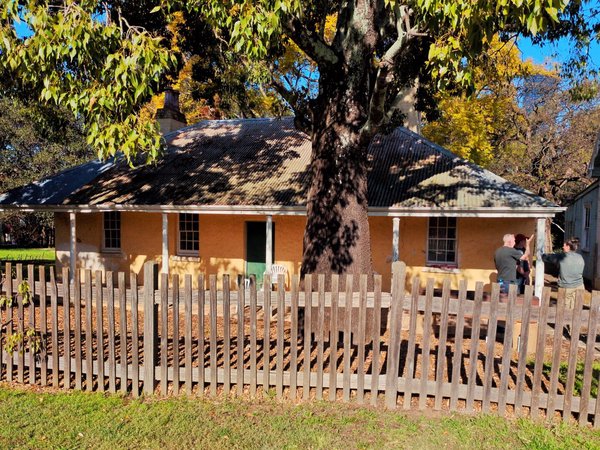 A small single-storey cream-coloured cottage with green windowsills and doors. It has a large tree and a wooden picket fence in front.