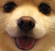 :puppy: