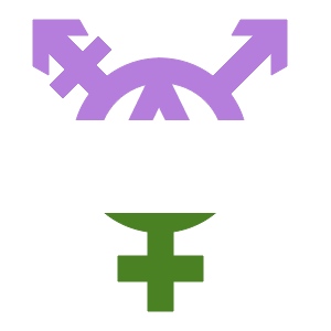 :tranarchy_a_genderqueer: