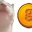 :10granscat@darkdork.dev:
