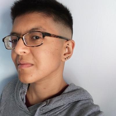 mixosaurus