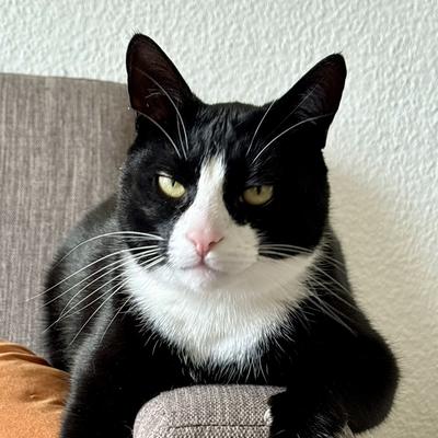 boki