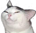 :smug: :smug: